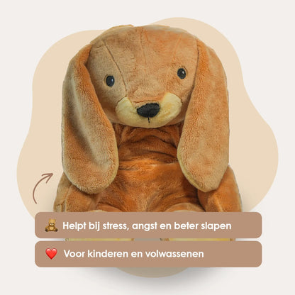 Mini & Grote konijn - Je bespaart €20
