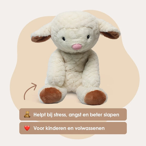 Lotgenootje Schaap 2kg
