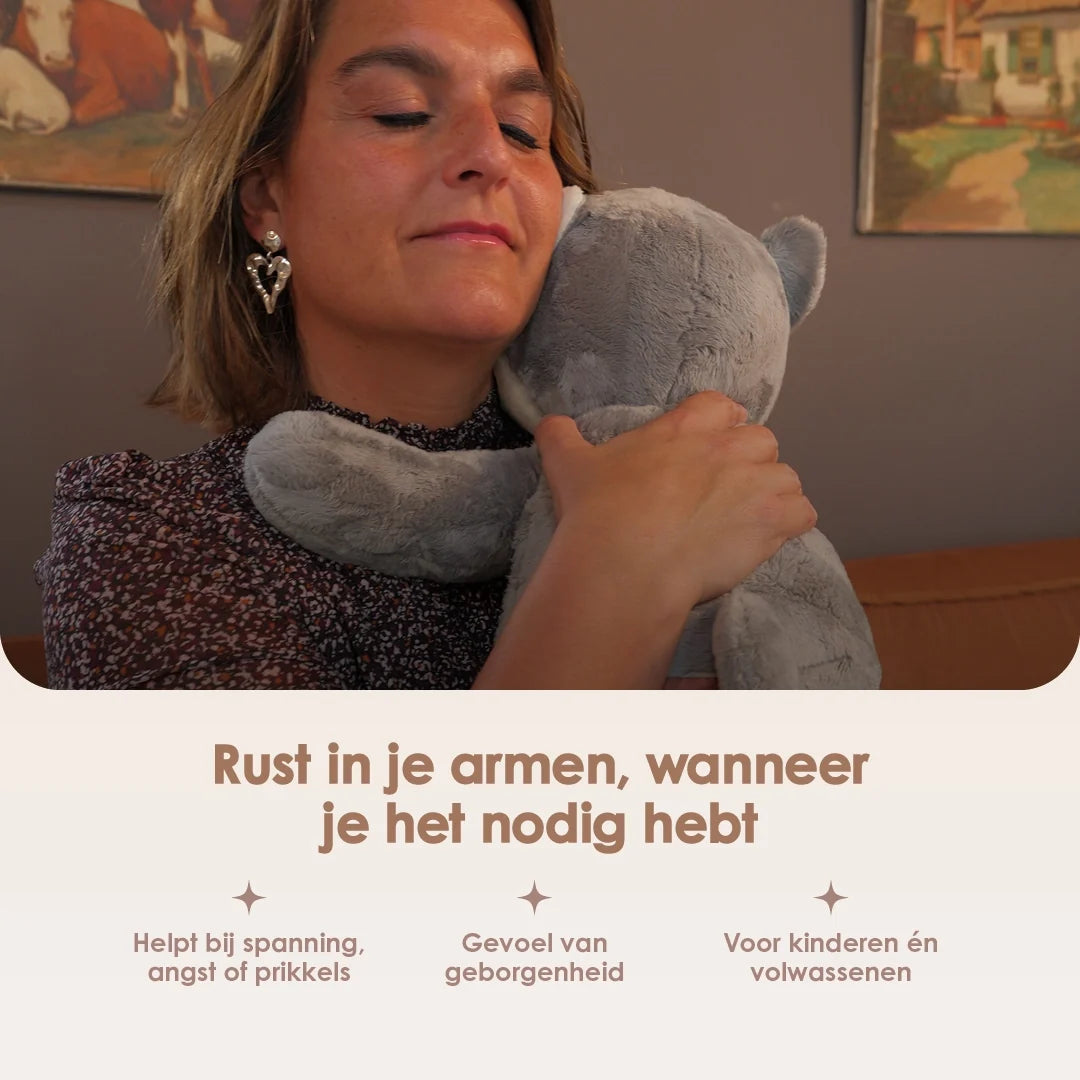 Lotgenootje Kat 2kg