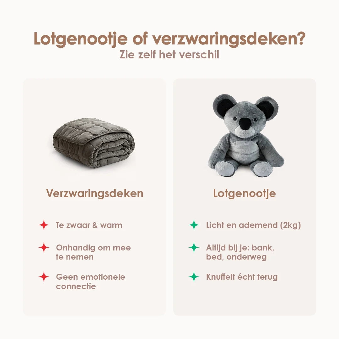 Lotgenootje Koala 2kg