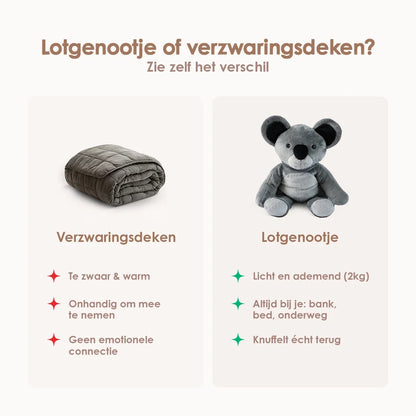 Lotgenootje Koala 2kg