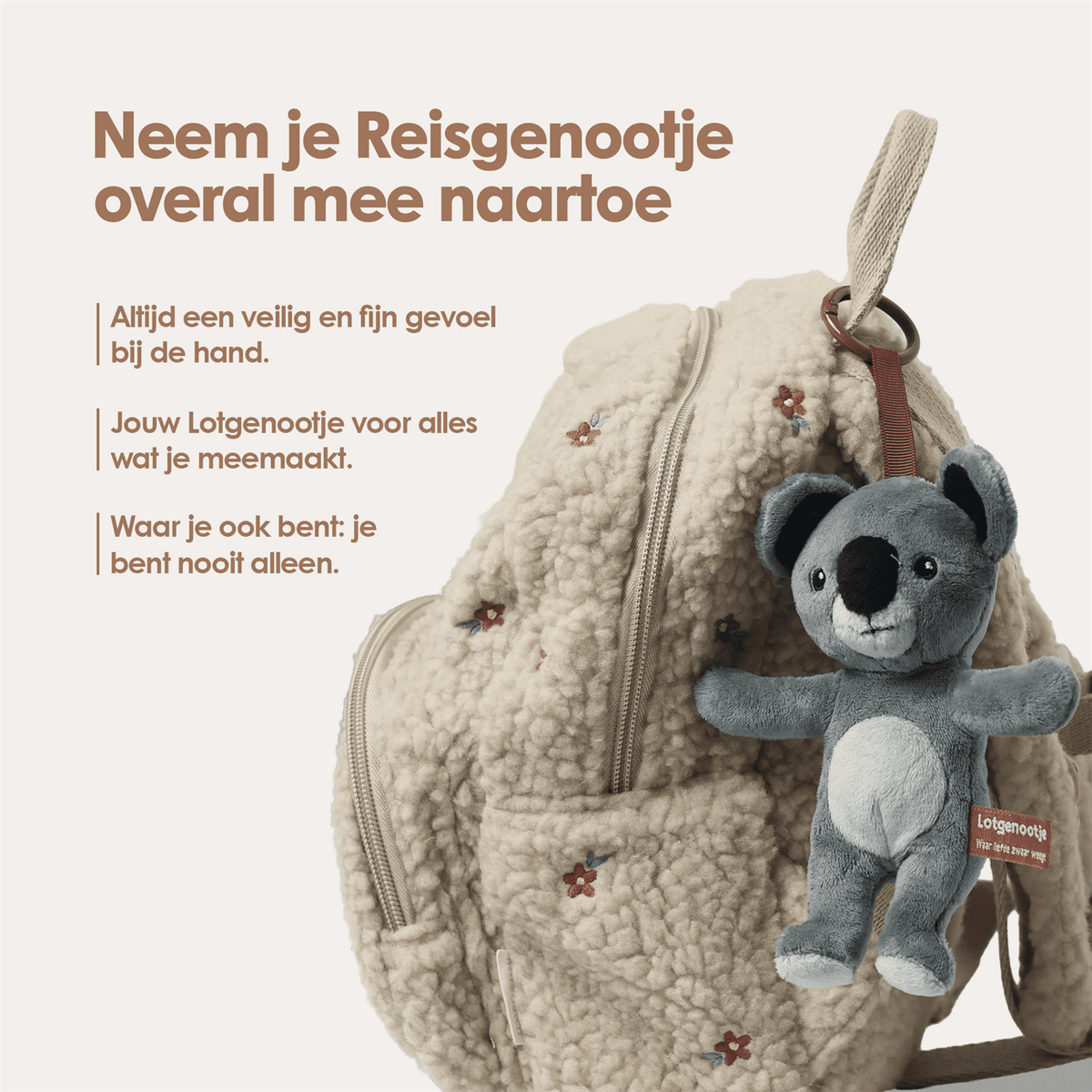 Reisgenootje Tashanger Koala