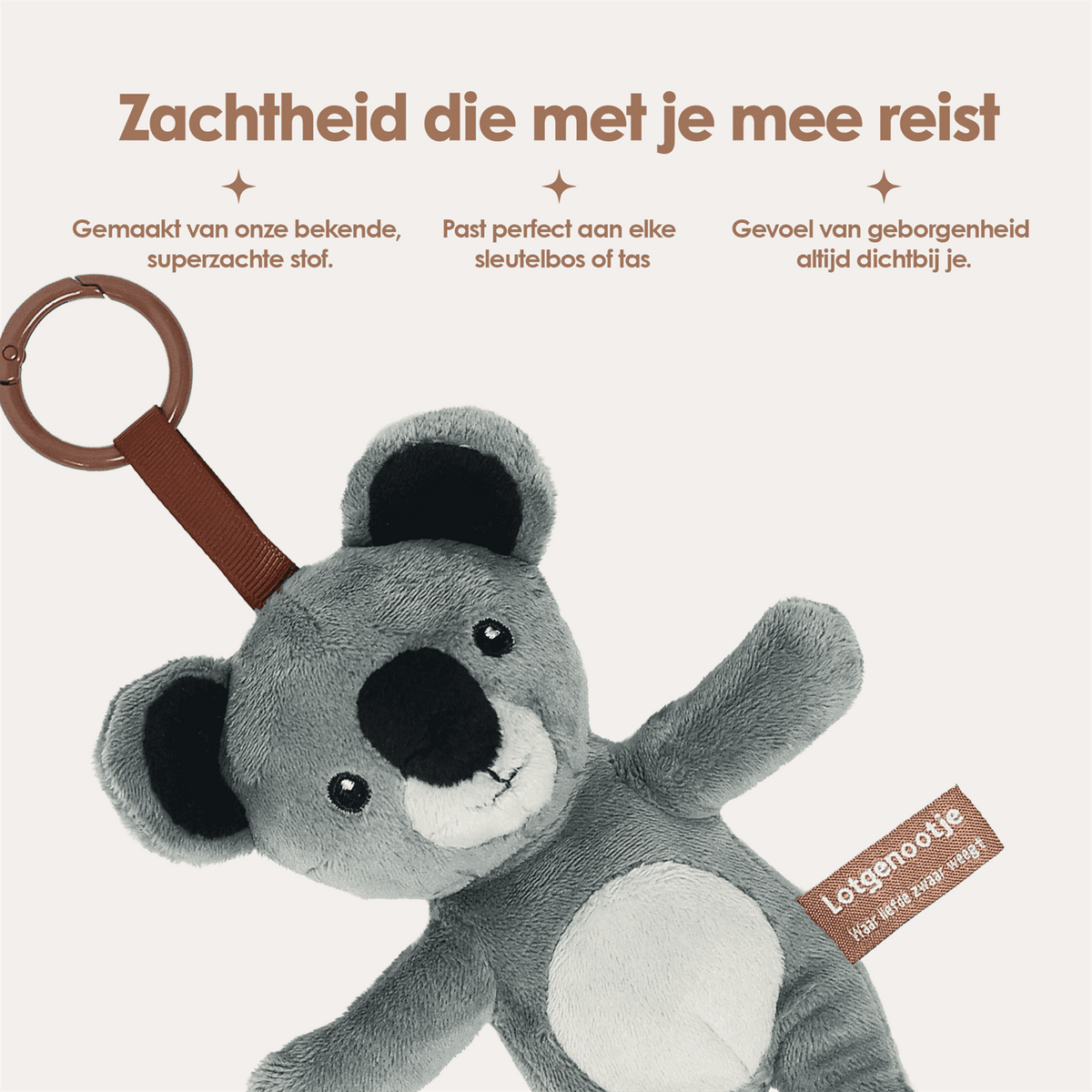 Reisgenootje Tashanger Koala