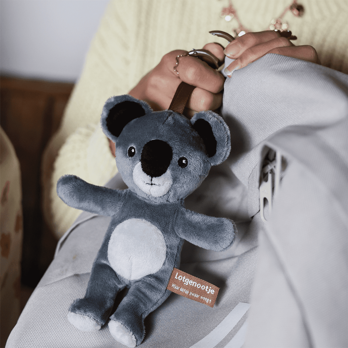 Reisgenootje Tashanger Koala