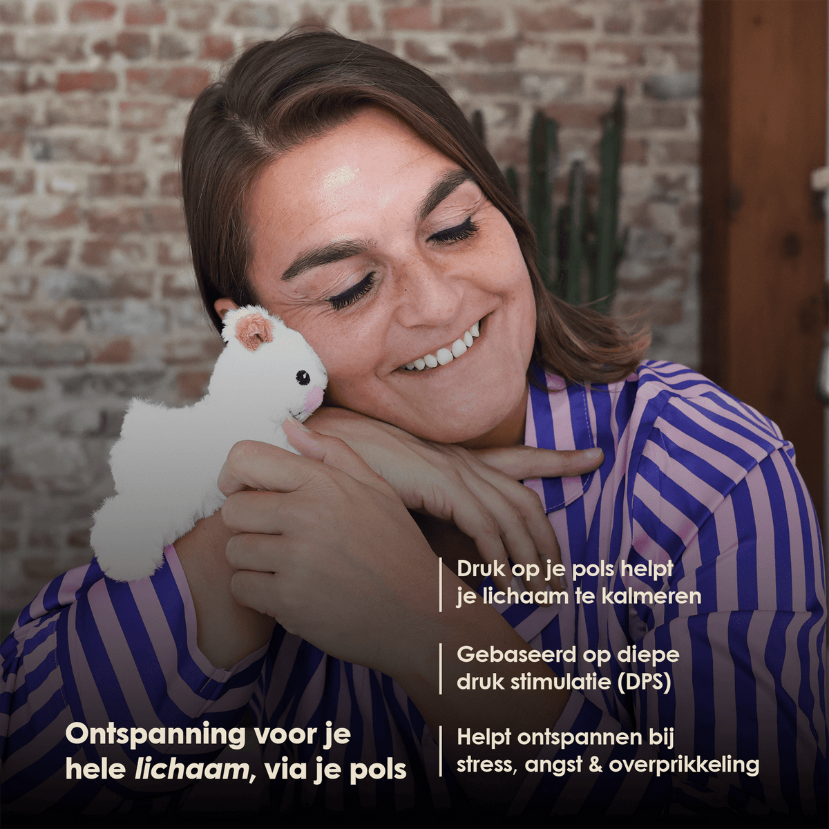 De beste Lotgenootje deal – Alle 6 Mini Lotgenootjes in 1 - Je bespaart €60