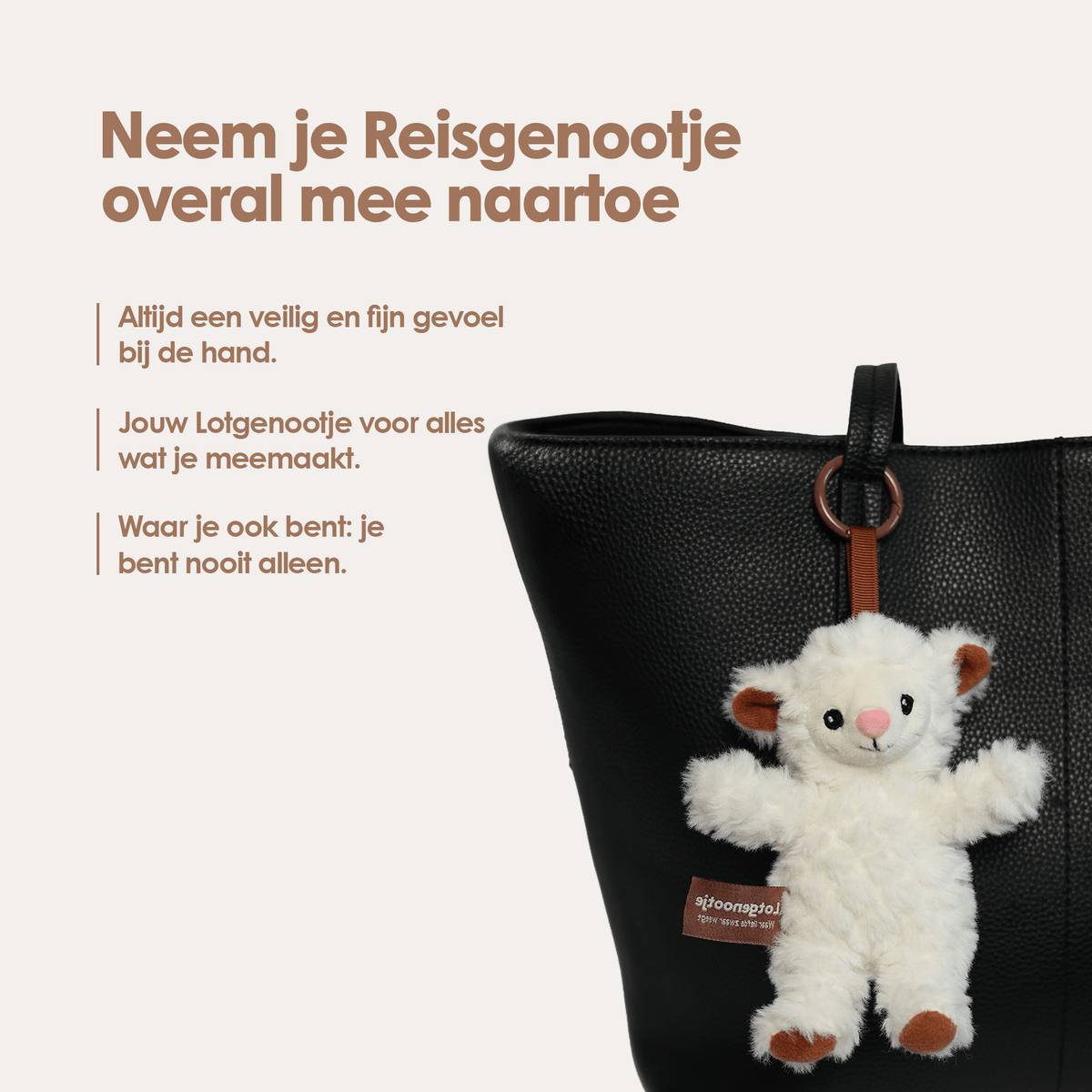 Reisgenootje Tashanger Schaap