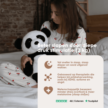 Mini & Grote Panda - Je bespaart €20